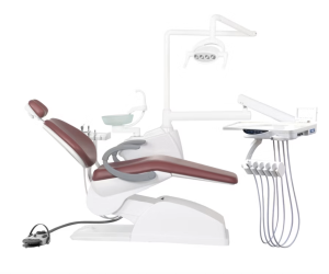 Sillón Dental Modelo DF-301F Denfly (Entrega Inmediata)
