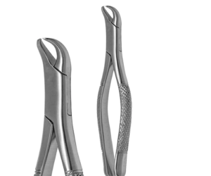 Forcep #23 Cuerno de vaca