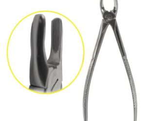 Forcep Recto para Adultos