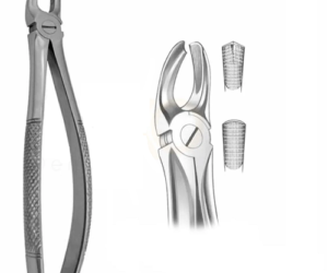 Forcep #17 inglés izquierdo