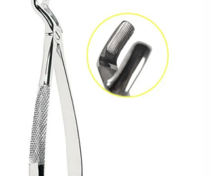 Forcep #67 Bayoneta grueso tercer molar
