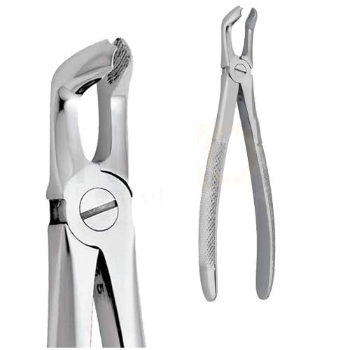 Forcep curvo sobre el plano #79 con espolón