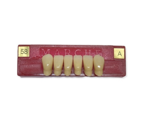 Tablilla de Dientes Anteriores Marche